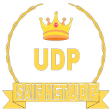 SAIF NET UDP