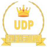 SAIF NET UDP biểu tượng