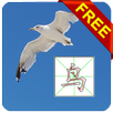 Kids Chinese Writing Free APK
