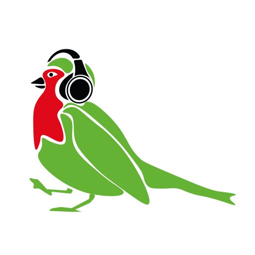 CAMMINATA METABOLICA