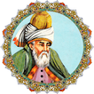 Rumi's poems