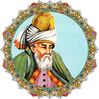 Rumi's poems icône