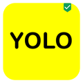 YOLO Q&A