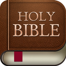 APK Yoruba English Bible Offline