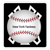 Baseball Yankees Game Highligh