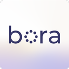 Bora-icoon