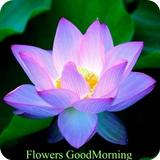 Flowers GoodMorning GoodNight biểu tượng