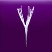 Yapt icon