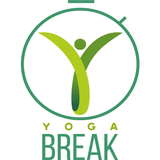 Y-Break Pro