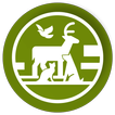 Animal Live Cams icon