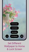 WallFusion Ekran Görüntüsü 3