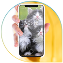 Beautiful Cats Wallpapers APK