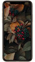 Wallpapers Honor Play 60 Ekran Görüntüsü 2