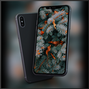 Wallpapers Poco F7 Pro & Ultra APK