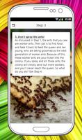 HOW TO GET RID OF ANTS Ekran Görüntüsü 2