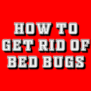 HOW TO GET RID OF BED BUGS APK