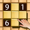 BlockSudoku : 脑力积木拼图 圖標