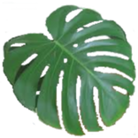 Регистратор (списки и записки)