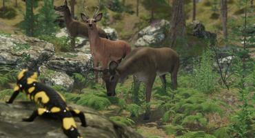 VR ZOO Safari Park Animal Game captura de pantalla 1