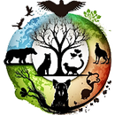 Zoo tlapky APK