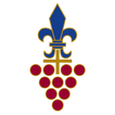 Stellenbosch Citizen App icon