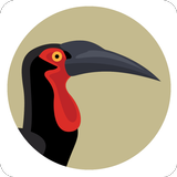 BirdPro APK