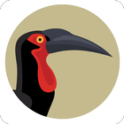 BirdPro icône