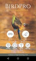 BirdPro 海报