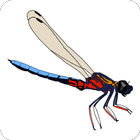 DragonflyPro icône