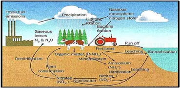 Grade 11 Agricultural Sciences