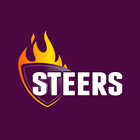 Steers icon
