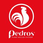 Pedros आइकन