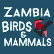 Zambia Bird & Mammal Checklist icon