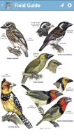 1 Schermata Roberts Bird Guide 2