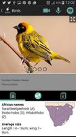 Sasol Birds for Beginners screenshot 2