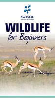Sasol Wildlife for Beginners-poster