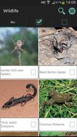 برنامه‌نما Sasol Wildlife for Beginners عکس از صفحه