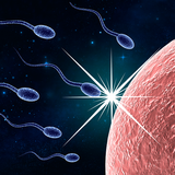 Fertility Astrology 2