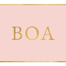 BOA Cape Town APK