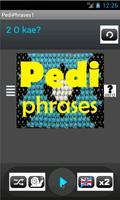 Pedi Phrases Language tutor পোস্টার