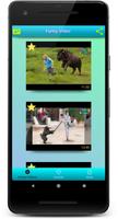 Funny Videos captura de pantalla 2