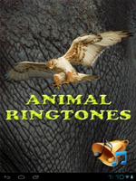 sonneries d'animaux Affiche