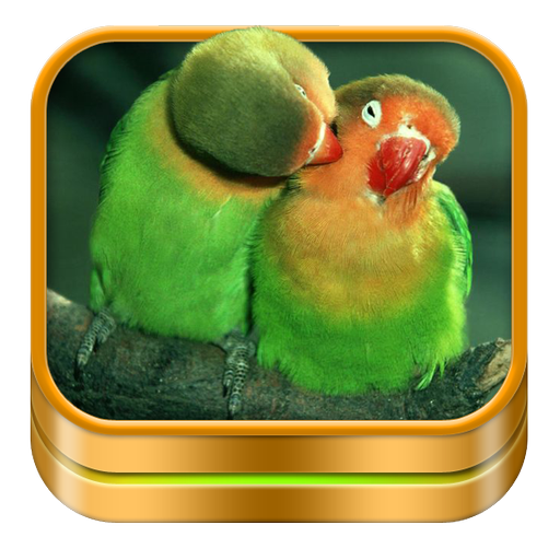 Bird Ringtones and Wallpapers