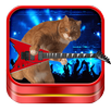 Cat Ringtones and Wallpapers APK