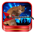 القط نغمات وخلفيات APK