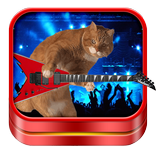 Cat Ringtones and Wallpapers