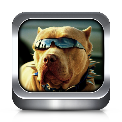 suonerie cane e sfondi