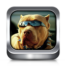 الكلب نغمات وخلفيات APK