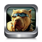 Tonos de Llamada Perro icono