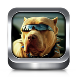 Dog Ringtones and Wallpapers